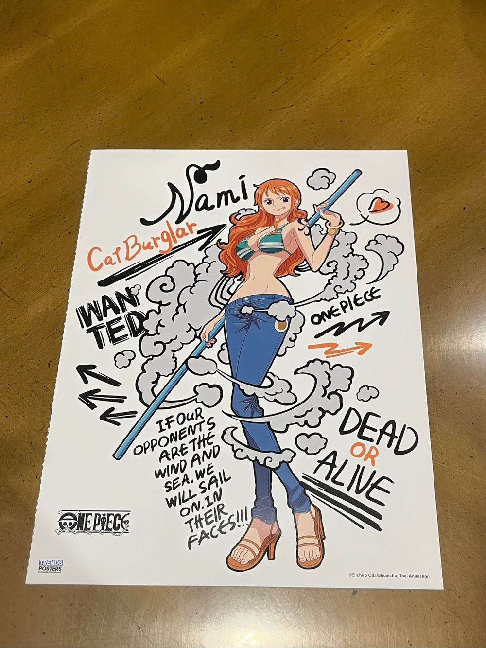 One Piece Nami Cat Burglar Waifu Anime Official Poster Trends Posters Wall Decor